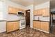 3029 N Haussen, Chicago, IL 60618