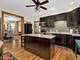 442 Du Page, Elgin, IL 60120