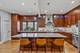 4317 N Kenneth, Chicago, IL 60641