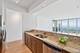 1201 S Prairie Unit 5004, Chicago, IL 60605
