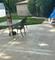 716 Ashton, Romeoville, IL 60446