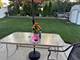 716 Ashton, Romeoville, IL 60446