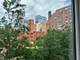801 S Plymouth Unit 302, Chicago, IL 60605