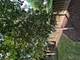 136 Lilac, Bolingbrook, IL 60490