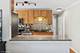 1455 N Sandburg Unit 204, Chicago, IL 60610
