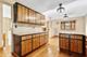 16052 Debra, Oak Forest, IL 60452