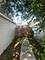 8014 S Bishop, Chicago, IL 60620
