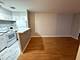 744 W Gordon Unit 209, Chicago, IL 60613