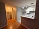 744 W Gordon Unit 209, Chicago, IL 60613