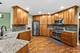 24209 Lavergne, Plainfield, IL 60585