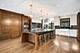500 S Edgewood, La Grange, IL 60525
