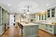 855 Sheridan, Highland Park, IL 60035