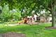 740 St Andrews Unit 5, Crystal Lake, IL 60014
