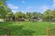 236 Forest, Island Lake, IL 60042