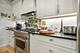 1530 W Monroe, Chicago, IL 60607