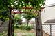 421 W Verret, Elmhurst, IL 60126