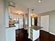 1850 N Clark Unit 2406, Chicago, IL 60614