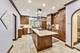 1000 N East, Oak Park, IL 60302