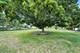 817 Melrose, New Lenox, IL 60451