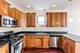 1707 S Ruble Unit 2S, Chicago, IL 60616
