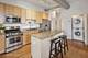 4011 N Francisco Unit 310, Chicago, IL 60618