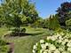 19W286 Governors Unit 0, Oak Brook, IL 60523