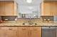 55 W Delaware Unit 1008, Chicago, IL 60610
