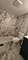 1485 W Dundee, Palatine, IL 60074
