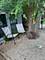 1040 W Roscoe Unit G, Chicago, IL 60657