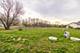 5001 9th, Winthrop Harbor, IL 60096