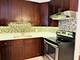 115 Marengo Unit 502, Forest Park, IL 60130