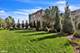 4840 S Indiana, Chicago, IL 60615