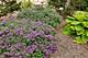 4840 S Indiana, Chicago, IL 60615