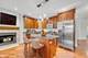 4235 S Calumet, Chicago, IL 60653