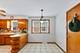 10423 S Sawyer, Chicago, IL 60655