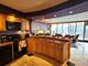 300 N State Unit 3911, Chicago, IL 60654