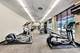 1455 N Sandburg Unit 1903, Chicago, IL 60610