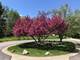5801 Port Clinton, Long Grove, IL 60047