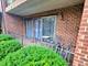 11009 Stony Creek Unit 1C, Palos Hills, IL 60465