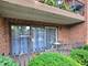 11009 Stony Creek Unit 1C, Palos Hills, IL 60465