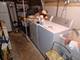 8506 S Jeffery, Chicago, IL 60617