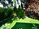 6700 N Fairfield, Chicago, IL 60645