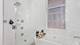 2006 W Webster Unit 1, Chicago, IL 60647