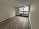 70 W Burton Unit 1108, Chicago, IL 60610