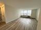 70 W Burton Unit 1108, Chicago, IL 60610
