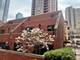 1121 S Plymouth Unit A, Chicago, IL 60605