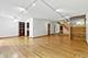 1121 S Plymouth Unit A, Chicago, IL 60605