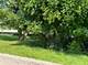 0 Natoma, Algonquin, IL 60102