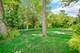 17720 Ashland, Homewood, IL 60430