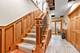 519 Kingston, New Lenox, IL 60451